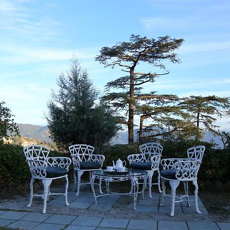 Springfields - A Heritage Palace Since 1902 Σίμλα Εξωτερικό φωτογραφία